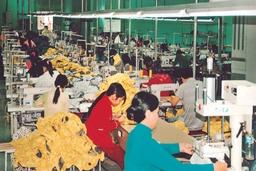Công ty CP ĐT&PT Hoàng Sơn: Khởi nghiệp và lớn lên trên mảnh đất quê hương