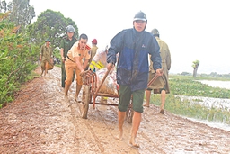 Tế Nông: Nâng cao hiệu quả chỉ đạo, điều hành trong phát triển KT-XH