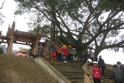 Du xuân về miền di tích