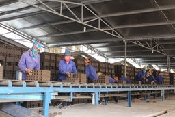 Agribank Bỉm Sơn: ‘Bà đỡ’ của doanh nghiệp