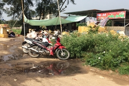 Ô nhiễm môi trường từ cơ sở chế biến hải sản