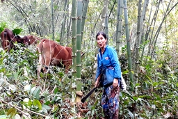 Hàng trăm lượt hộ nghèo huyện Lang Chánh được vay vốn