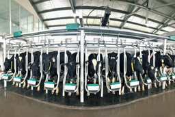 Vinamilk sản xuất dòng sữa A2 đầu tiên tại Việt Nam
