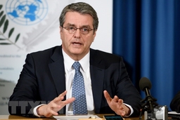 Tổng Giám đốc WTO thừa nhận cần cải cách hệ thống thương mại toàn cầu