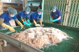 Làng nghề truyền thống tăng cường công tác vệ sinh an toàn thực phẩm