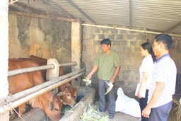 Vốn vay tín dụng góp phần đắc lực giảm nghèo tại Cẩm Thủy