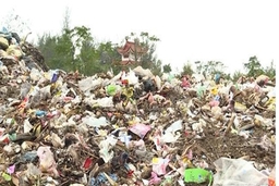 Ô nhiễm môi trường khu tập kết rác thải tại xã Hoằng Thanh