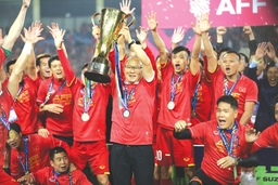 Bóng đá Việt 2018: Một năm đầy dấu ấn
