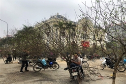 Những ngày giáp Tết ở TP Thanh Hóa