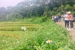 Du khách đổ về Pù Luông tránh nóng, ngắm mùa vàng