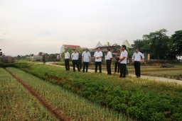 Triệu Sơn cần đẩy mạnh tiến độ xây dựng xã đạt chuẩn ATTP