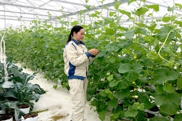 Thanh Hóa làm tốt công tác đảm bảo ATTP 6 tháng đầu năm