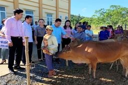 Trao bò giống cho các gia đình chính sách