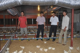 Hợp tác xã nông nghiệp khó tiếp cận chính sách ưu đãi