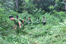 Hà Trung: “Ngày chủ nhật xanh” bảo vệ môi trường