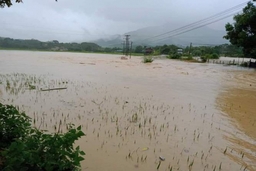 Sơ bộ thiệt hại do bão số 4 đối với tỉnh Thanh Hoá