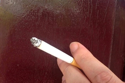WHO: Tiêu dùng thuốc lá bắt đầu giảm ở nam giới