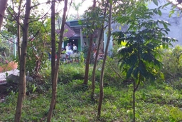 Huyện Triệu Sơn (Thanh Hóa): Cặp vợ chồng tử vong tại nhà riêng