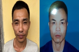 Bắt giữ 2 đối tượng gây ra hàng loạt vụ cướp giật