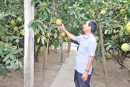 Xây dựng thương hiệu cho các sản phẩm nông nghiệp chủ lực