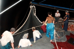 Chuyện nghề