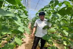 Đảng bộ huyện Bá Thước vững tin bước vào nhiệm kỳ mới