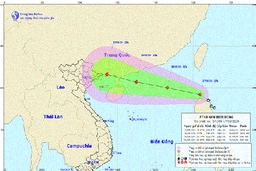 Chủ động ứng phó với áp thấp nhiệt đới