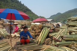 “Hành trình” giảm nghèo còn lắm gian truân (Kỳ 3): Cách nào để thu hút đầu tư?