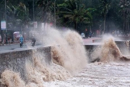 Các tỉnh, thành phố từ Thanh Hóa đến Bình Thuận chủ động ứng phó bão và mưa lũ