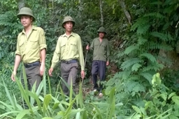 Dân vận khéo “cầu nối” giữa Đảng và Dân (Kỳ 2): Dân vận cho những cánh rừng nguyên xanh