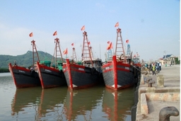 Thanh Hóa: Hoàn thiện thủ tục mở cửa cảng cá trước ngày 1/10