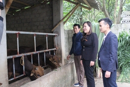 Agribank Thanh Hóa đồng hành với người nông dân