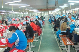 Doanh nghiệp nỗ lực vượt khó, tìm kiếm thị trường mới