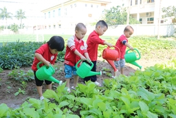 Đổi mới phương pháp dạy học tích cực lấy trẻ làm trung tâm