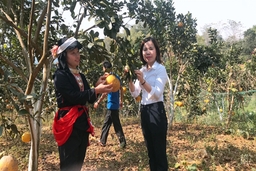 Diện mạo mới trên đất Thạch Lập