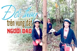 Đổi thay trên vùng đất người Dao