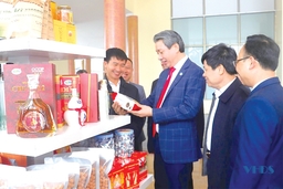 Người đi chinh phục ước mơ