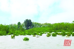 Mênh mông sóng nước Cồn Trường