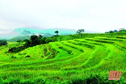 Du lịch Thanh Hóa trên “đường băng” phát triển: Khi mục tiêu - kỳ vọng còn ở... phía tương lai