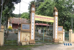 Ngôi đền cổ kính có 7 loại cây di sản Việt Nam