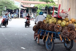 Pháp luật giao thông và những chiếc xe thô sơ trên đường phố