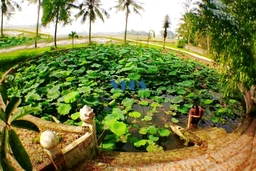 Hồn quê qua những giếng làng
