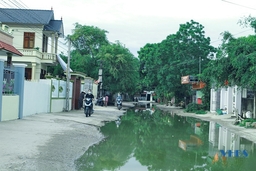 Đường tỉnh 4C đoạn qua huyện Quảng Xương và TP Sầm Sơn xuống cấp nghiêm trọng