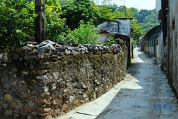 Những ngõ nhỏ trong lòng thành phố