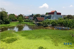 Hàng ngàn hộ dân vùng ngoài đê sông nơm nớp nỗi lo ngập lụt