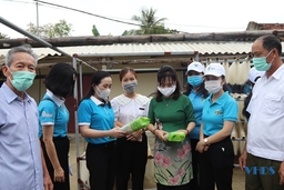 Phát triển kinh tế tập thể do phụ nữ làm chủ ở Đông Sơn