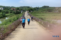 Những con đường hoa ở Hoạt Giang