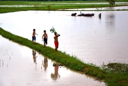 Ký ức quê nhà những mùa lụt cũ