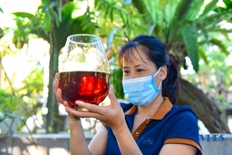 Độc đáo rượu sim rừng Bảo An