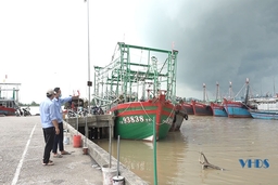 Bảo đảm an toàn phòng chống dịch cho ngư dân và phương tiện trước bão Conson